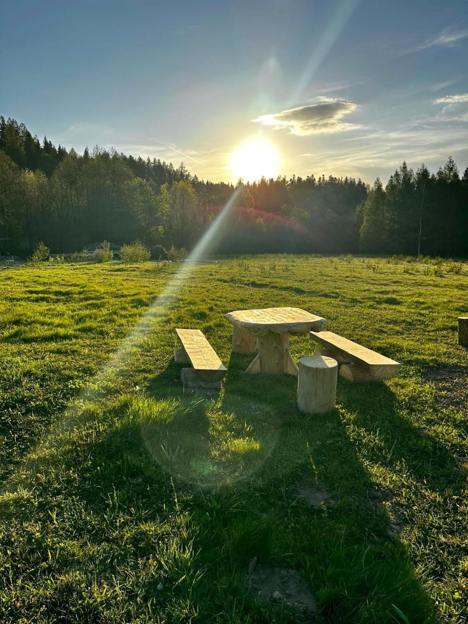 Galena I Gnejs * Stronie Slaskie