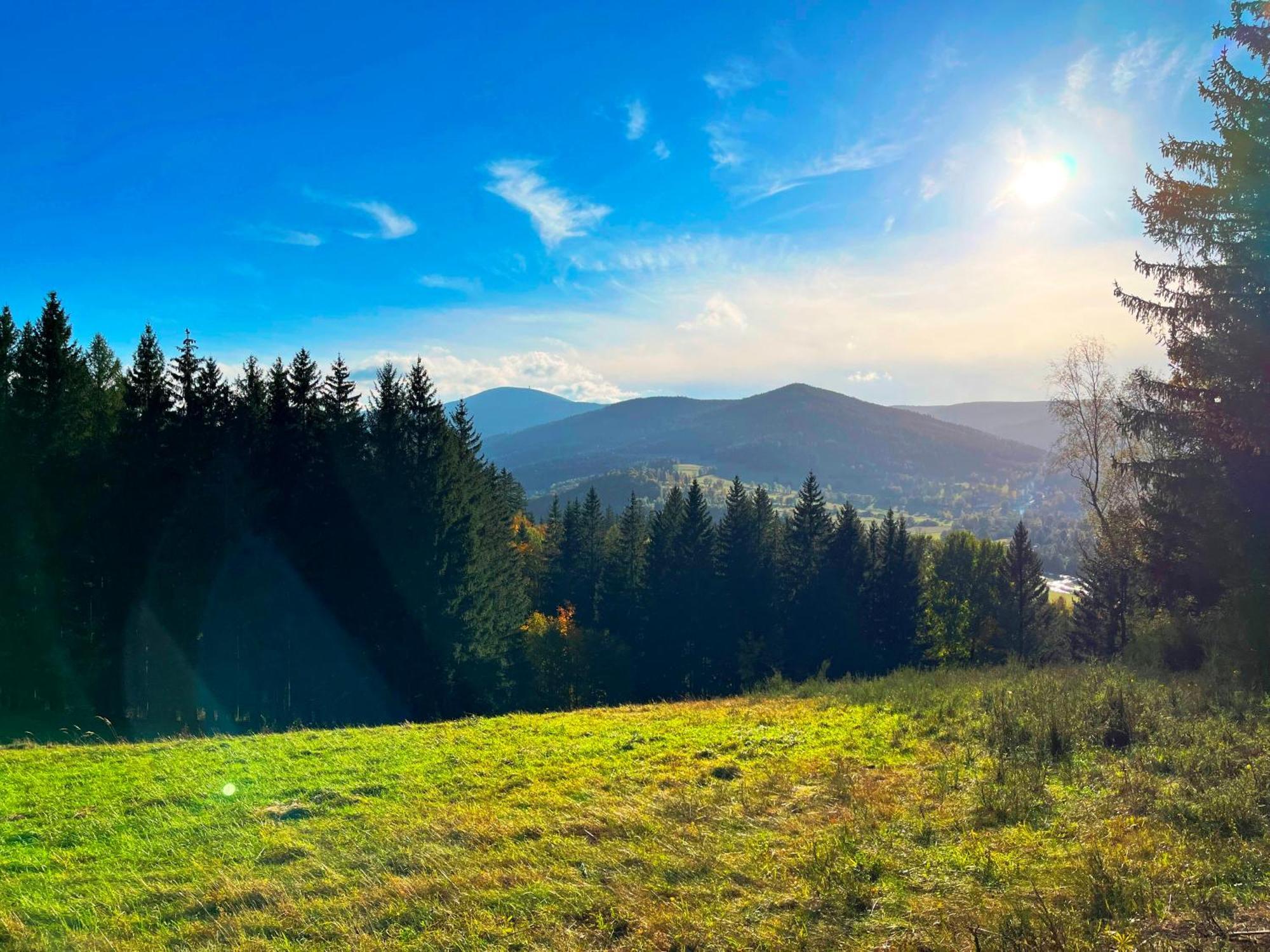 Galena I Gnejs *